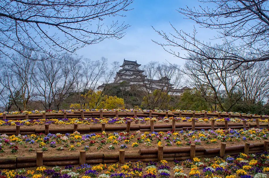 🌳 오테마에 공원 (오테마에 코엔) 이미지 7